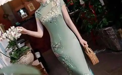 宠物小精灵第五部